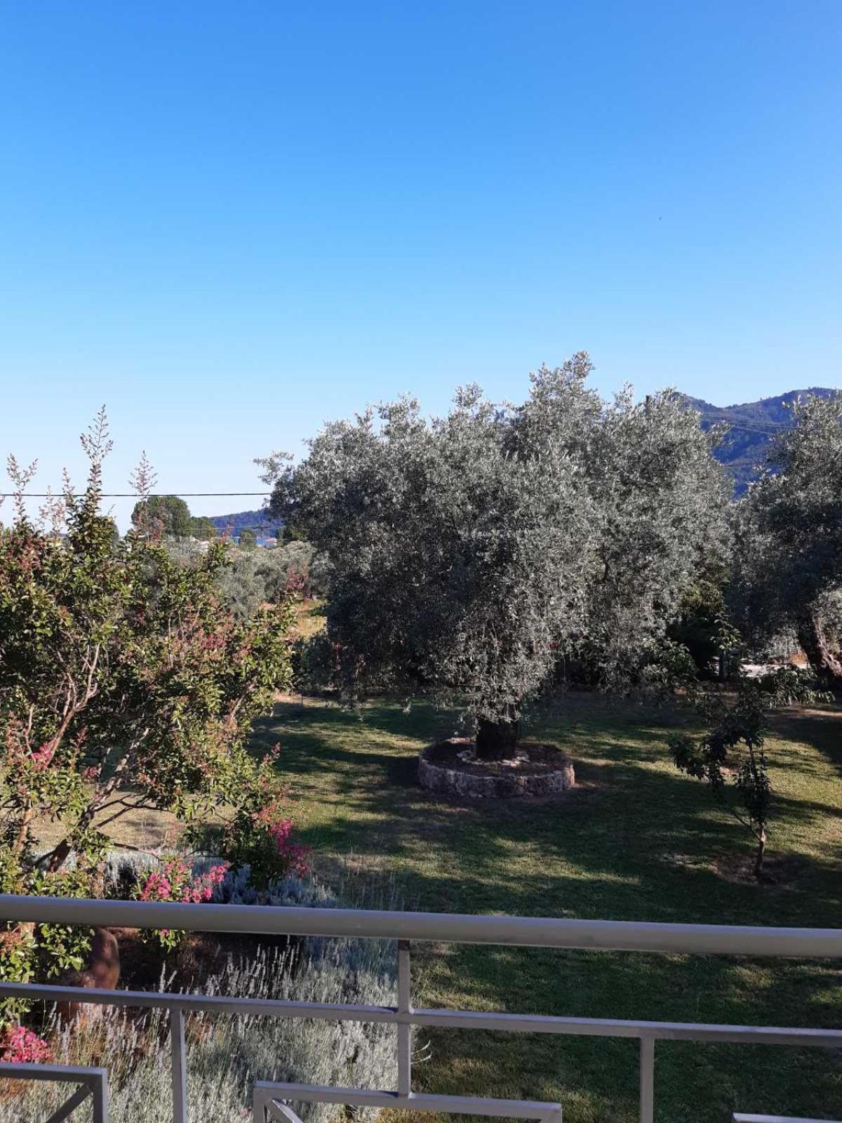 Nostos Studios Golden Beach Chrisi Ammoudia Zimmer foto