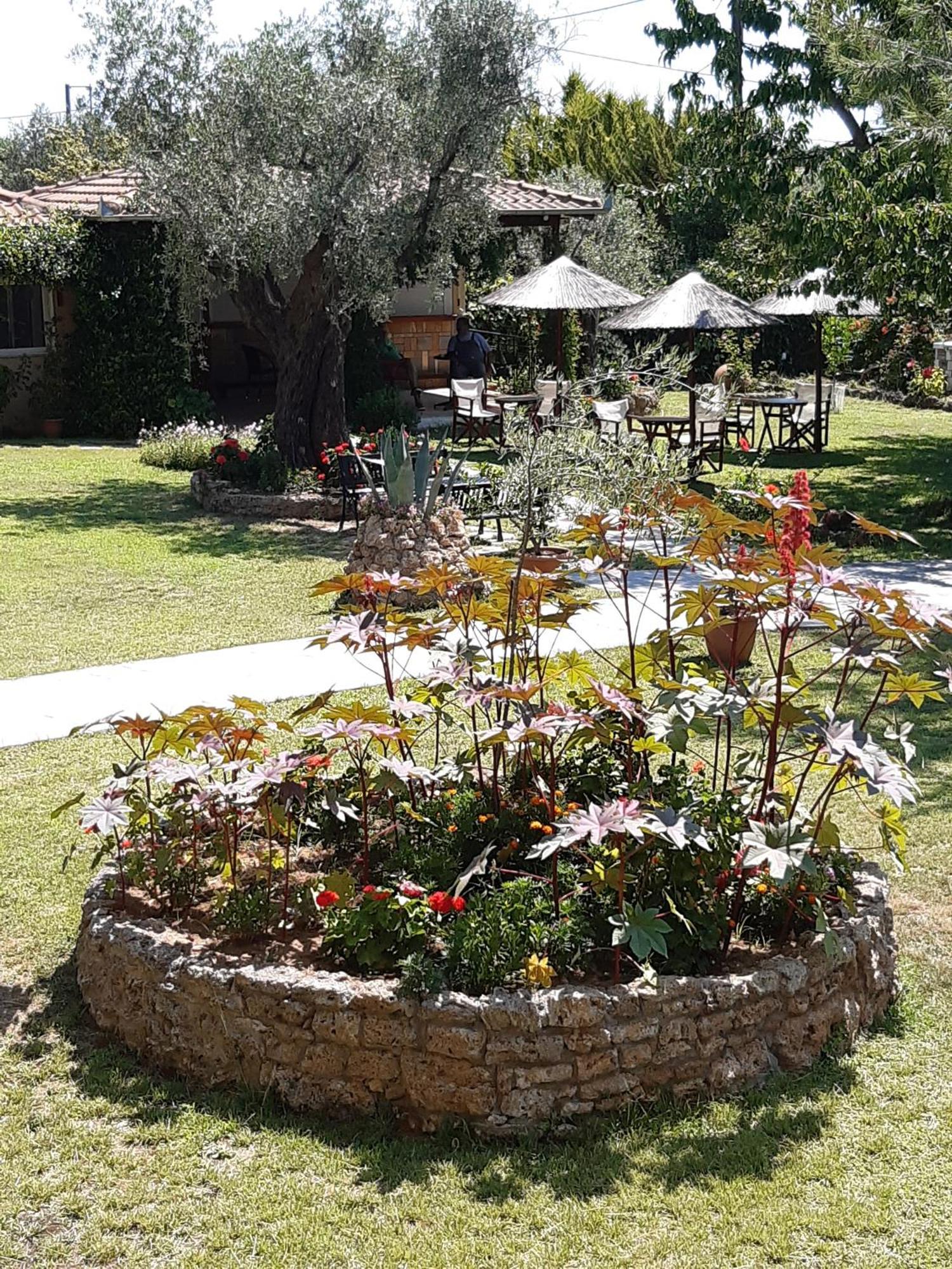 Nostos Studios Golden Beach Chrisi Ammoudia Zimmer foto